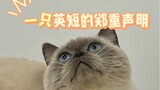 隆重介绍一下！他真的不是暹罗猫！