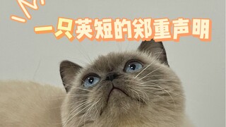 隆重介绍一下！他真的不是暹罗猫！