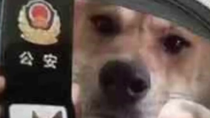 Tekanan Anti-Narkoba Tiongkok: Pengedar Narkoba Hancur di Tempat, Desa Narkoba Diledakkan