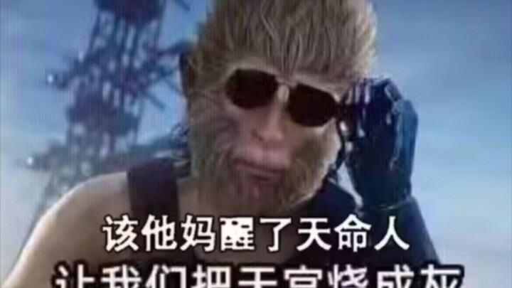 好消息：吗喽来了    坏消息：大圣顶号了