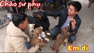 Chia Tay Team Săn Bắt Ẩm Thực Vùng Cao Thạch Vlogs Khóc Hết Nước Mắt | Thạch TV