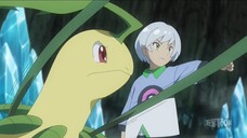 Pokemon (Dub) Episode 102