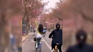 Mercedes Benz smart bike