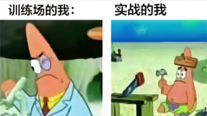 Meme Kocak｜Setelah Setahun Penuh Berlatih Mati-Matian di Lapangan