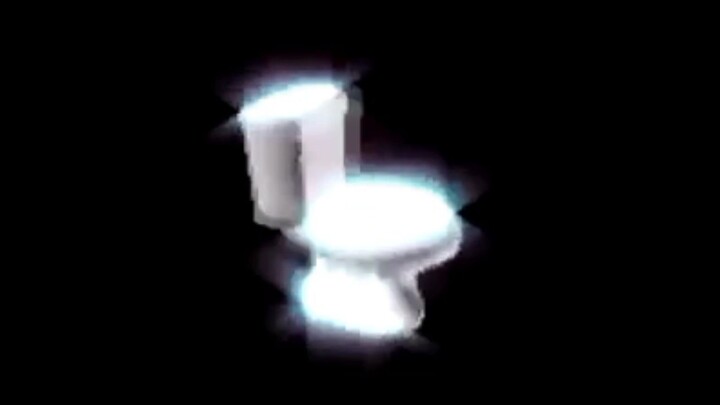 toilet spin