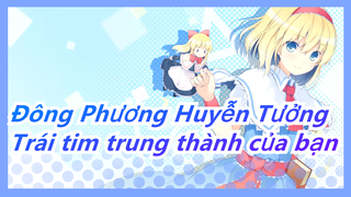 [Đông Phương Huyễn Tưởng MMD]Trái tim trung thành của bạn không thể được nhìn từ mũi bạn