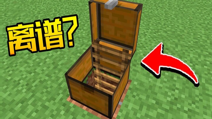 Minecraft Trivia: Ladders can actually be put into boxes? (Not a cover story)