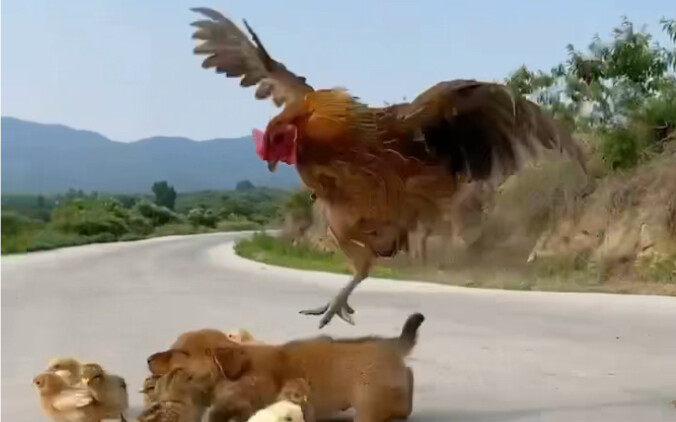 كله بسبب البيض.. يا له من إدراك مؤلم!