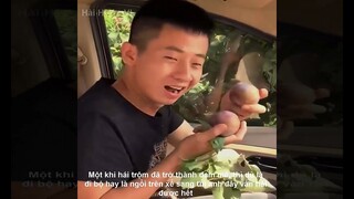 Review Những Video Triệu View Hay Nhất Thế Giới | Review Những Video Triệu View | Kênh Xàm TV