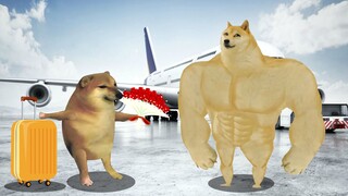 当中国人去泰国旅游