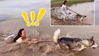 [Remix]Funny Moments of Human Beings
