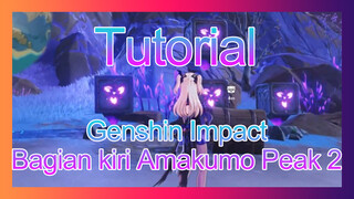 Genshin Impact - Tutorial - Bagian kiri Amakumo Peak 2