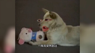 好好好这么整是吧