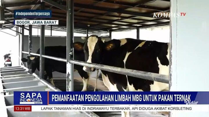 Sapa Indonesia Siang (Kompas TV) 10/10/2025