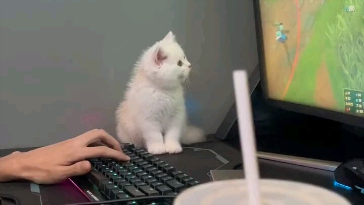 “So games are more important than me, right?”