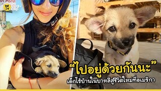 ลูกหมาน่ารักตัวเล็กไร้บ้านในบาหลีได้พบกับชีวิตใหม่ที่อเมริกาด้วยน้ำใจจากสาวใจดี | Dog's Clip