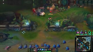 Talon quăng phi tiêu tính hạ teemo nhưng dẫm phải nấm cực hài #game