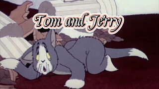 Tom and Jerry - Episode 1