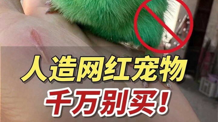 إياك أن تشتري هذه الحيوانات الأليفة الشائعة على الإنترنت، فهي تضر الناس كثيرًا!