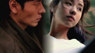 Chỉ trách ánh trăng từng soi rọi lên thân những con chó hoang.