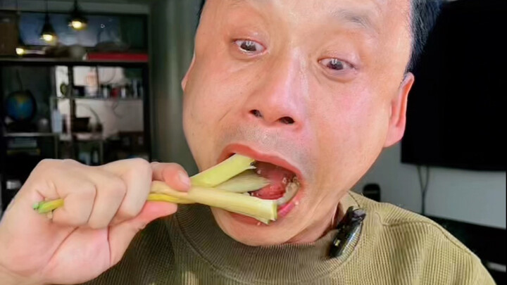 Thử thách trồng hành đỏ trên đất khô hạn Thiểm Bắc, tôi có phải kẻ hèn nhát không???