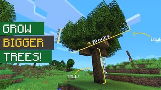 Minecraft: How to Grow Big Trees! (1.13)