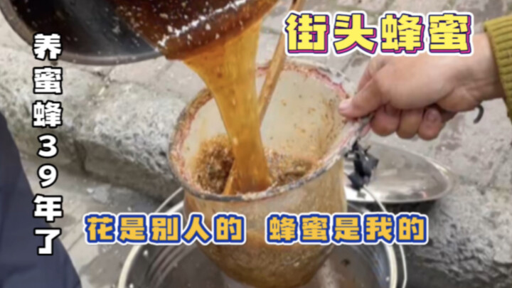 偶遇街头蜂蜜 花是别人的 蜂蜜是我的