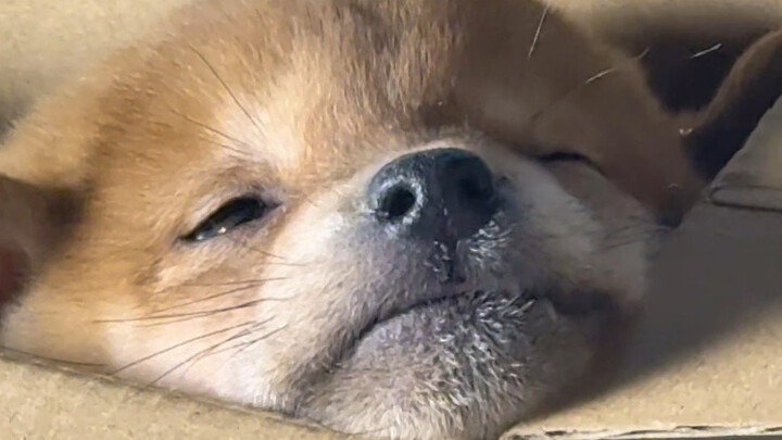 Is this the legendary “Ghost Market”?