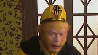 Con mèo của tôi suýt bỏ trốn cùng một con mèo đi lạc