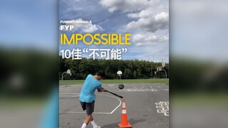 好迷这种“不可能”视频