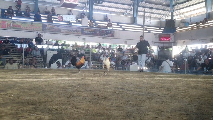 cavite coliseum