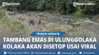 Tambang Emas Viral di Ulunggolaka Kolaka Sulawesi Tenggara Akan Disetop Gegara Warga Ramai Mendulang