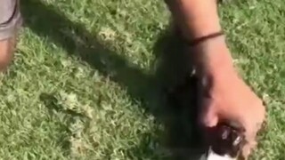 开席啦！开席啦！