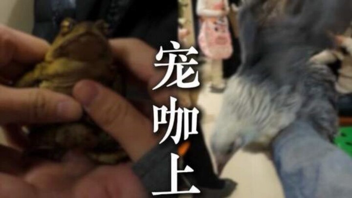 Ngày của khách hàng do Pet Ka chăm sóc