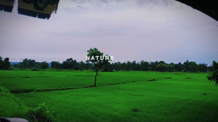 Agriculture Nature 🌾🌾  #viralreels #tranding #bilibili