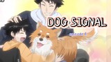DOG SIGNAL _ episode 6
