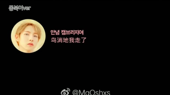 东北大哥仁俊的再别康桥