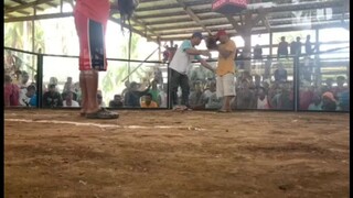 (2 wins) sayang draw last fight #tinolines