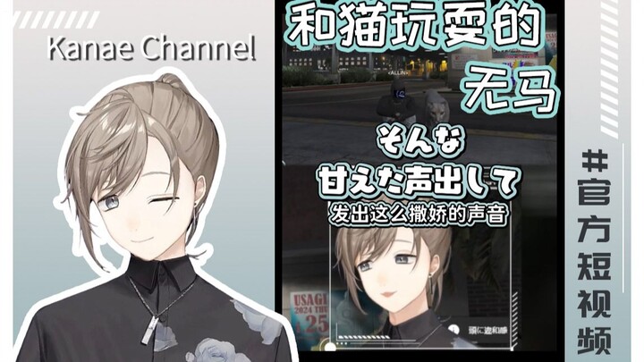 【Chuyên/ Nghiệp/ Video ngắn chính thức】Vô Mã vui đùa với mèo 【STGR】