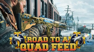 WE HAVE RETURNED!? | Road To a Quad Series #19 - SWAT RFT (BO4)