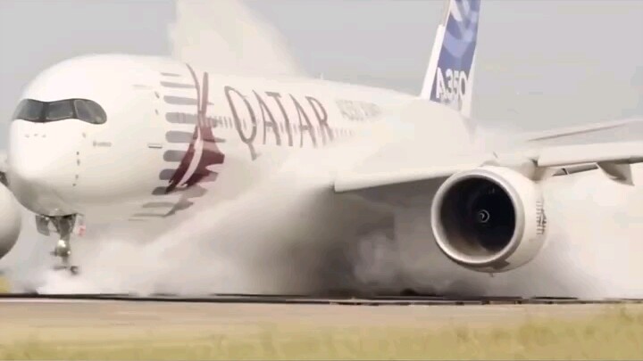 How Do Planes Defend Against Bird Strikes?