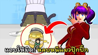 เล่นซ่อนแอบสุดระทึกกับน้องแมว | Hide and Seek: Cat Escape!