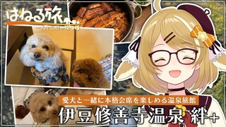 【#はねる旅】犬同伴で泊まれる宿「伊豆修善寺絆＋本館特別室鶺鴒の間」へ泊まってみた！/Bakery&Table東府や/honohono cafe/こめや しいたけ店【因幡はねる / あにまーれ】