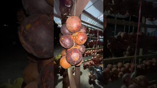 Edisi pulang kampung. Jajan buah yang mahal dikota, daini murah banget‼️