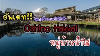 เที่ยวญี่ปุ่น | Oshino Hakkai หมู่บ้านน้ำใส ล่าสุด 11/2020