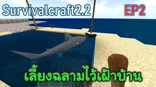 เลี้ยงฉลามขาวเอาไว้เฝ้าบ้าน Shark | survivalcraft2.2 EP2 [พี่อู๊ด JUB TV]