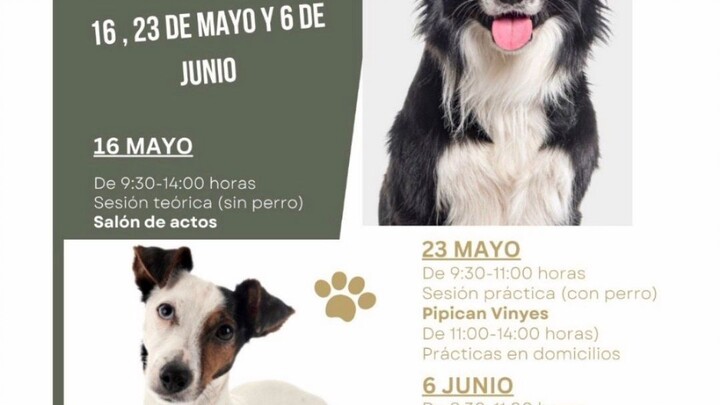 工作坊包含讲座和练习，让您和爱犬尽享乐趣。🐕