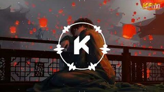 Lily Remix Tiktok 2022 - Alan Walker | Nhạc Nền Hot TikTok Gây Nghiện Mới Nhất 2022 || Kric EDM VN