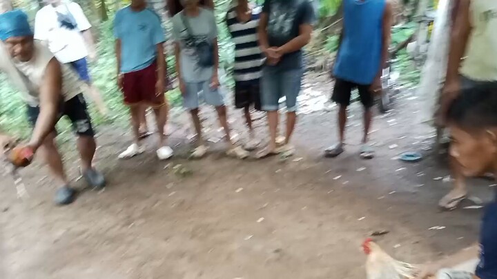 #bulik na babalik #2 wins na po yan