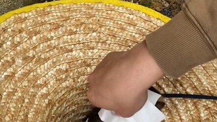 ฉันไปเก็บแมวมาได้ยังไง! แถมยังเป็นลูกแมวสามตัวที่ตัวเล็กกว่าฝ่ามืออีก